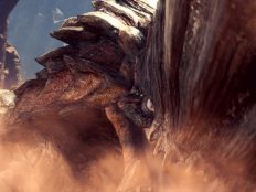 Une nouvelle zone de MONSTER HUNTER: WORLD révélée