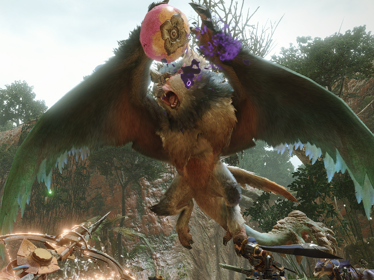 Démo, nouveaux monstres et nouveau territoire pour MONSTER HUNTER RISE
